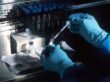 Understanding Common DNA Tests: What Your Results Really Mean
