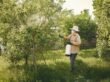 Why DIY Pest Control Often Fails: Mistakes Professionals See Every Day