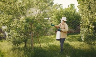 Why DIY Pest Control Often Fails: Mistakes Professionals See Every Day