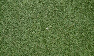 What Perth Homeowners Actually Need to Know Before Installing Artificial Turf?