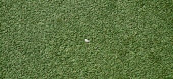 What Perth Homeowners Actually Need to Know Before Installing Artificial Turf?